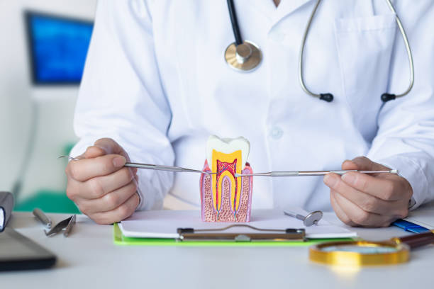 Best Emergency TMJ Treatment in Lake Goodwin, WA